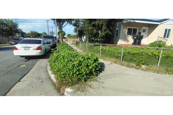 Corte de pasto 🏡$35 image 6