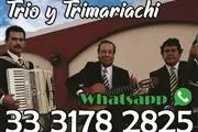 Trío Y Trimariachi Romance en Guadalajara