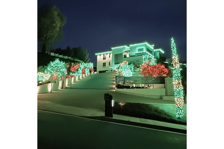 Top christmas light installati image 3