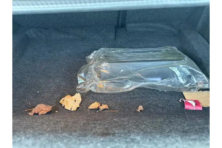 $23481 : Dodge Challenger 2023 SXT 2d image 6