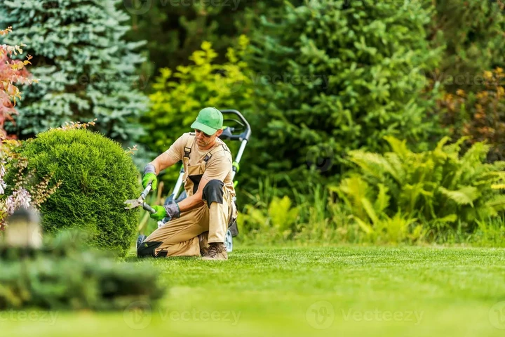 JARDINERÍA image 3