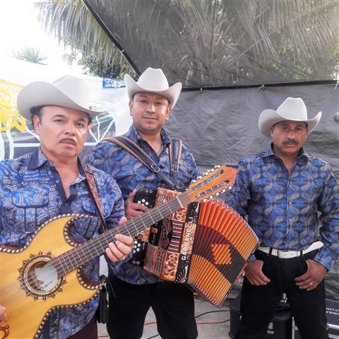 GRUPO NORTEÑO LOS INDIFERENTES image 3