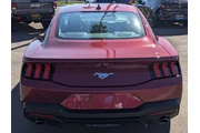 $29999 : Ford Mustang 2025 EcoBoost 2 thumbnail