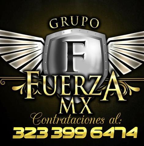 NORTEÑO/Grupo/FUERZA MX🤠🪗 image 3