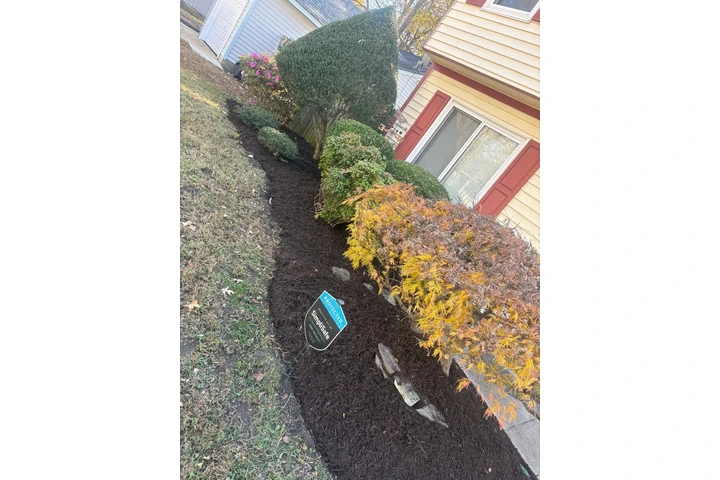 Professional Landscaping image 7