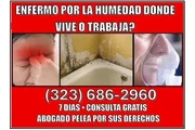 🔥SUFRE DE HUMEDAD EN SU CASA? en Los Angeles