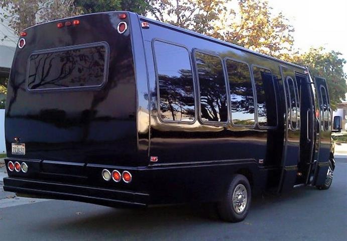 13233856621 LIMO PARTY BUS image 1