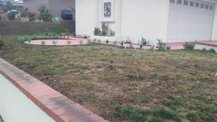 Landscaping and Maintenance image 4