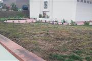 Landscaping and Maintenance thumbnail