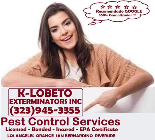 PEST CONTROL SERVICES 24/7.- image 10