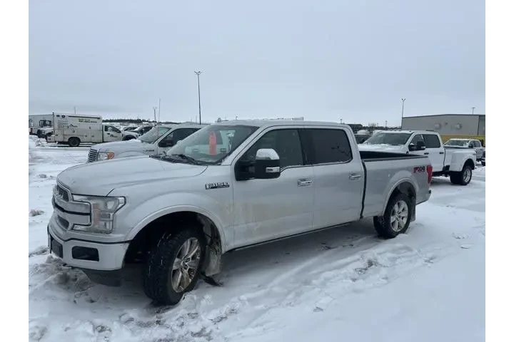 $28900 : Ford F-150 2019 4x4 Platinum image 9
