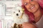 Cutie Maltese Pupppies en Binghamton