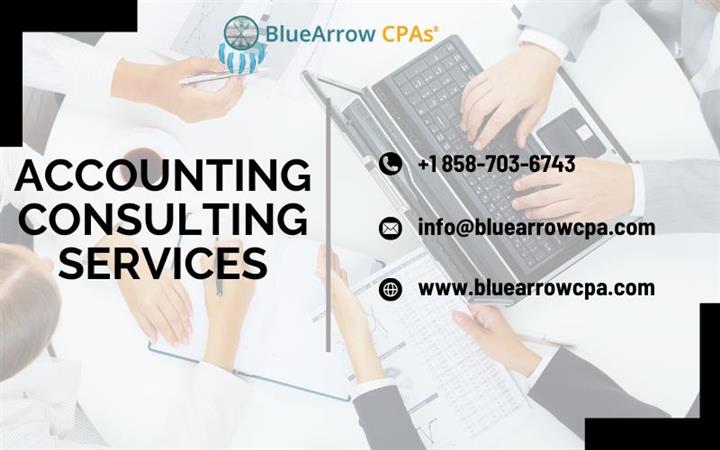 Accounting Consulting Services image 1