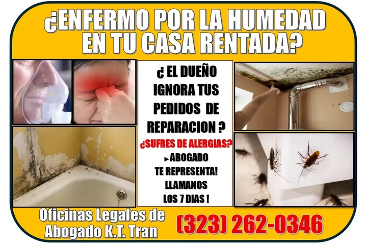 🔥DUEÑO NO REPARA? ENFERMASTE? image 2