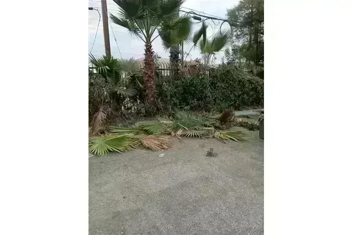 CANALEZ GARDENING SERVICES image 2