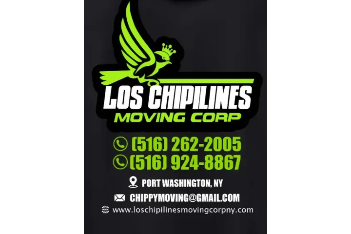 LC moving image 1