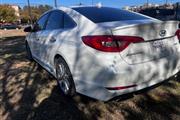 $14495 : 2016 Sonata thumbnail