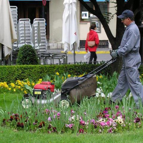 Forever Green Landscaping image 2