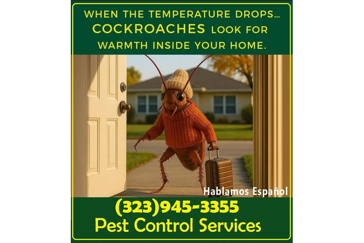 Fumigations - New Year 2026 image 1