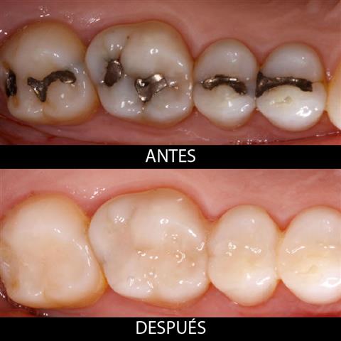 EXAMEN Y RAYOS X GRATIS image 3