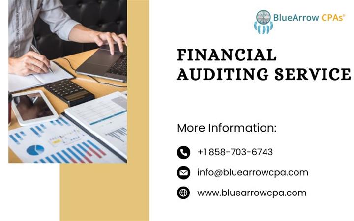 Financial Auditing Service image 1