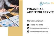 Financial Auditing Service