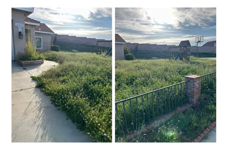 Palacios Landscaping image 2