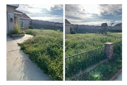 Palacios Landscaping thumbnail 2