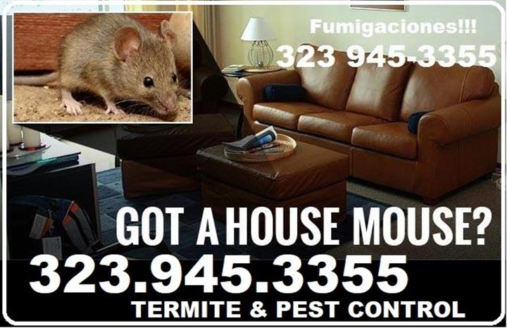 24/7 RODENT CONTROL-REPAIRS image 8