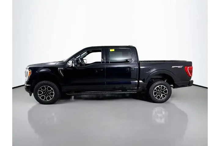 $40000 : Ford F-150 2023 4x4 XL 4dr S image 8