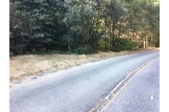 $14500 : Lot Near Lake Arrowhead image 5
