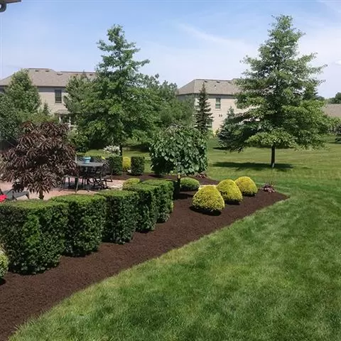 Forever Green Landscaping image 5