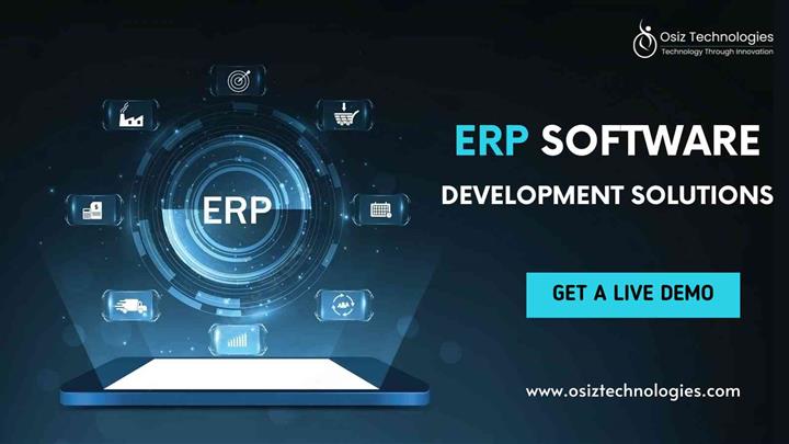 ERP Software Development image 1