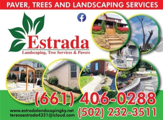 Pavers landscaping and trees image 1
