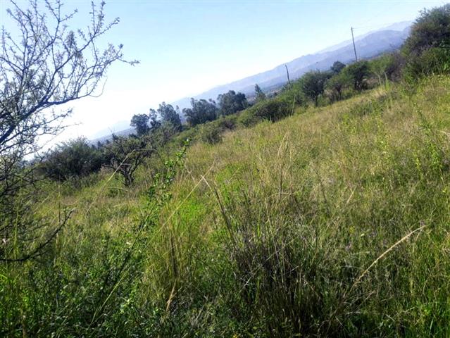 $12500 : Terreno en venta 500m² Tarija image 2