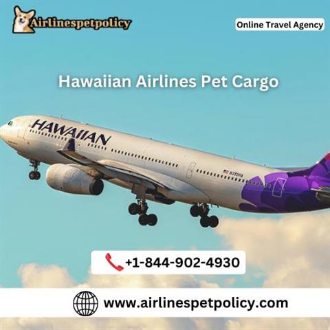 Hawaiian airlines cargo on sale pets