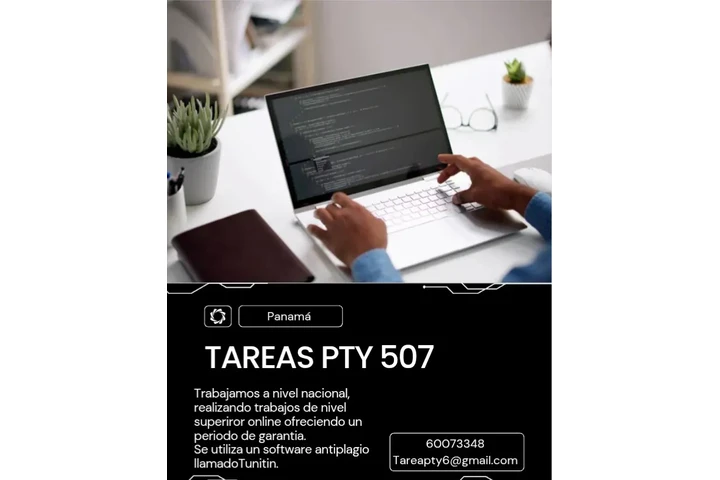 SE DESARROLLAN TRABAJOS ONLINE image 4