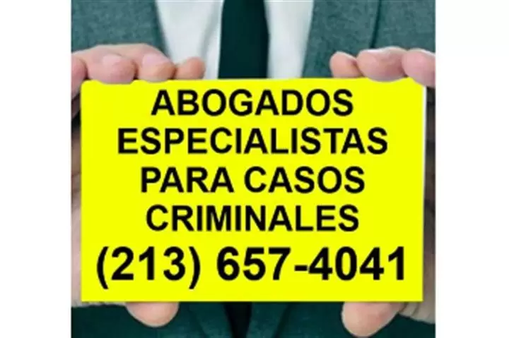 Asistencia Legal Caso Criminal image 1