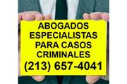 Asistencia Legal Caso Criminal