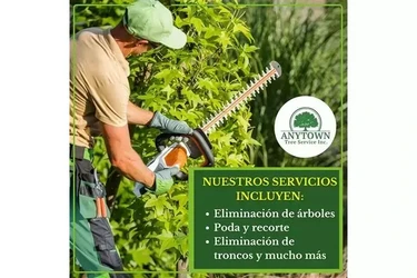 Cuidado Experto para Tu Jardín en Indianapolis
