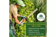 Cuidado Experto para Tu Jardín en Indianapolis