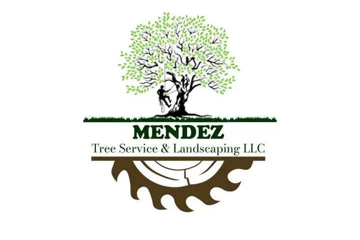 Mendez Tree Service & Landscap image 3
