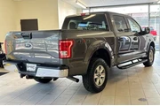 $18987 : Ford F-150 2016 4x4 XLT 4dr thumbnail