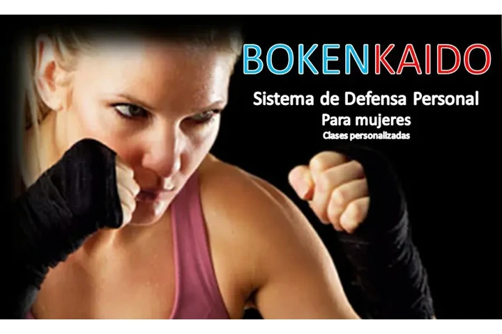 Boxeo, karate no competencia image 3