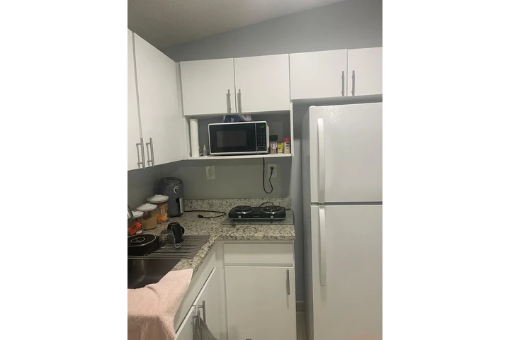 $1100 : Efficiency image 1