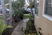 $1090 : HERMOSA CASA🏡EN Long Beach,CA thumbnail