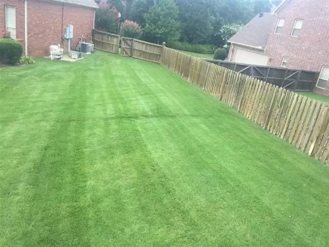 Byron's lawn care & landscapin image 6
