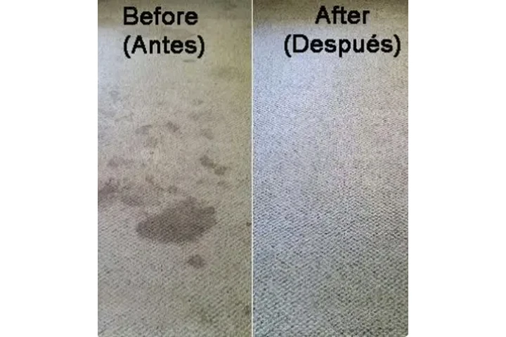 🌿💨 Limpieza Antiácaros image 3