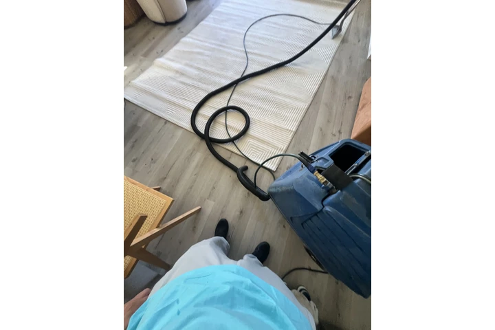 Carpet cleaner image 2