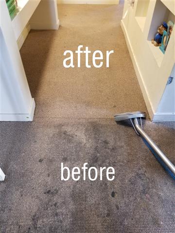 lavamos alfombra pisos y sofas image 7